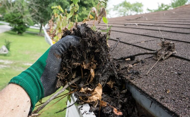 Clean Your Gutters