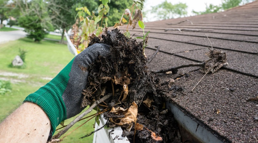 Clean Your Gutters